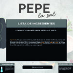 9244 CONIMEX JAVAANSE PINDA SATESAUS 292GR