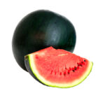 90396 SANDIA